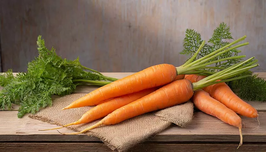 Zanahorias con vitamina A